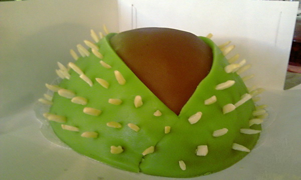 Kastanie 3D Torte